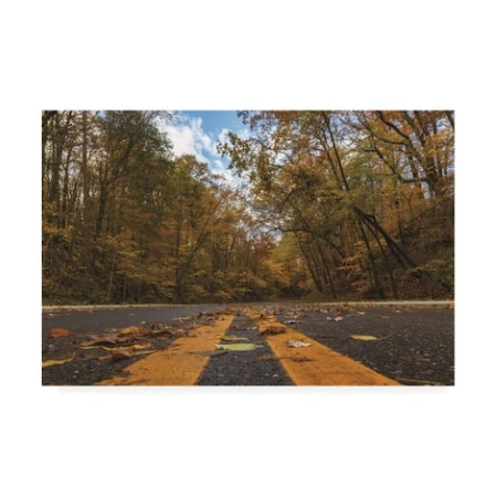 Kurt Shaffer Photographs 'Follow The Yellow Leaf Road' Canvas Art,12x19